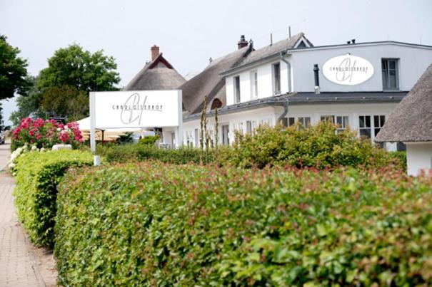 Der Charlottenhof Ahrenshoop Extérieur photo